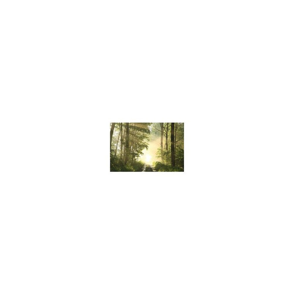 PAPERFLOW Poster mural "Forêt", en plexiglas