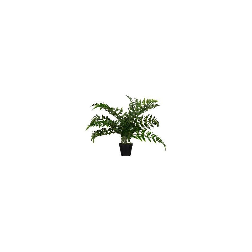 PAPERFLOW Plante artificielle "fougère", hauteur: 550 mm