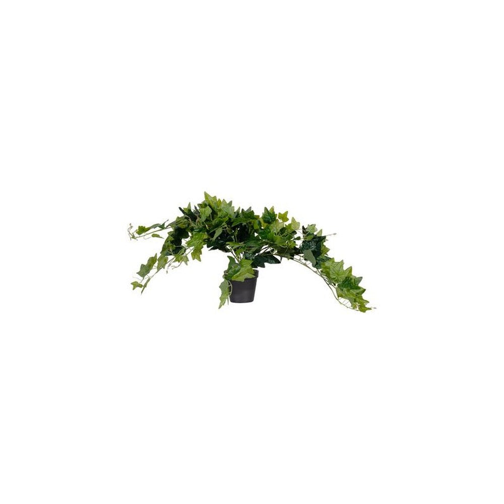 PAPERFLOW Plante artificielle "lierre", hauteur: 800 mm