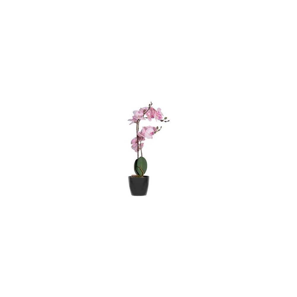 PAPERFLOW Plante artificielle "orchidée", (H)500 mm, rose