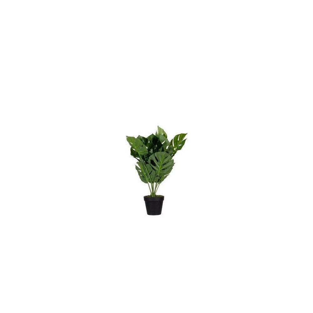 PAPERFLOW Plante artificielle "monstera", hauteur: 450 mm