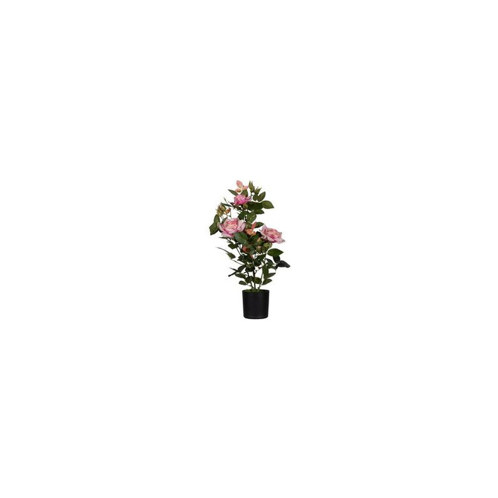 PAPERFLOW Plante artificielle "rosier", (H)540 mm, rose