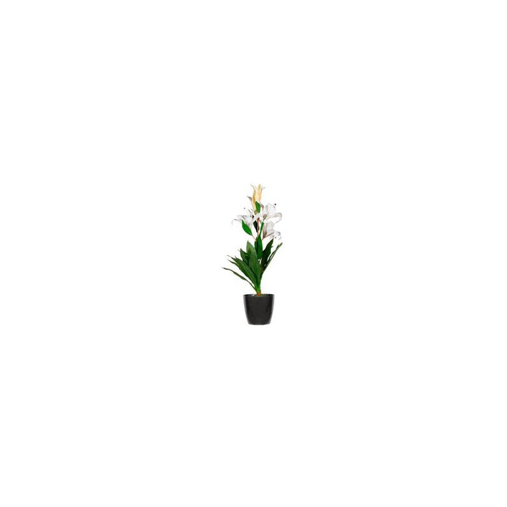 PAPERFLOW Plante artificielle "fleurs de lys", (H)650 mm