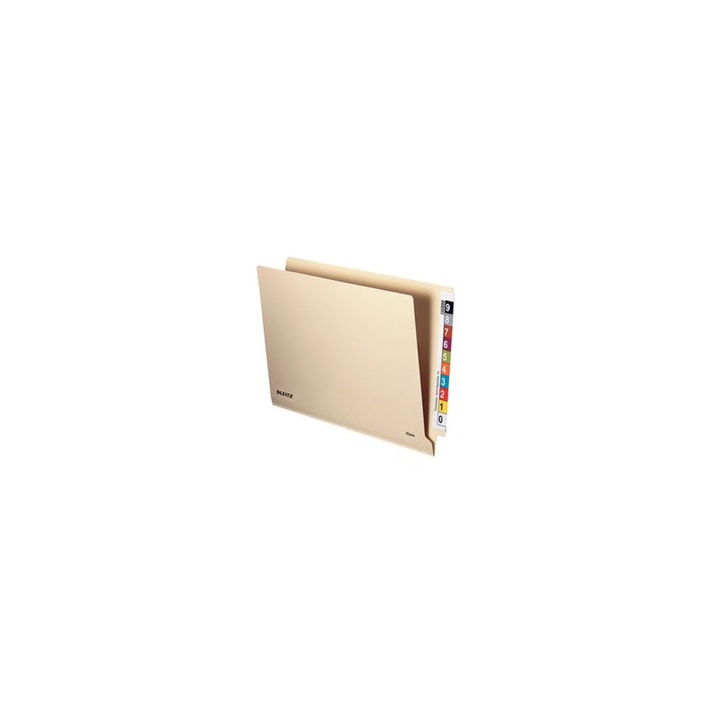 LEITZ Einstellmappe OrgacolorPlus, A4, mit Tab, chamois x50