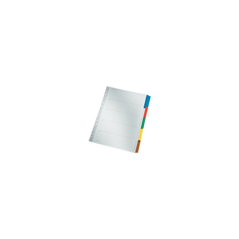 LEITZ Intercalaires en carton mylar, blanc, A4, gris, 5