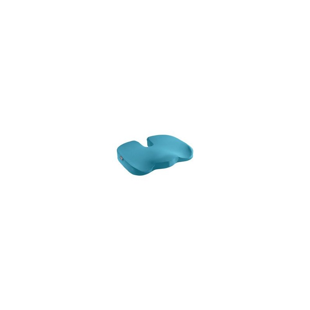 LEITZ Coussin d'assise Ergo Cosy, bleu