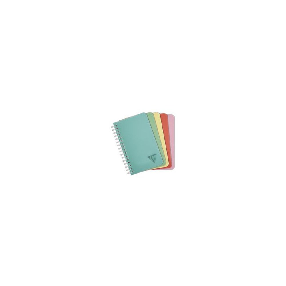 Clairefontaine Carnet reliure intégrale LINICOLOR, 90x140mm x10