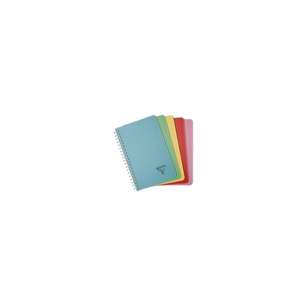 Clairefontaine Carnet reliure intégrale LINICOLOR, 110x170mm x10