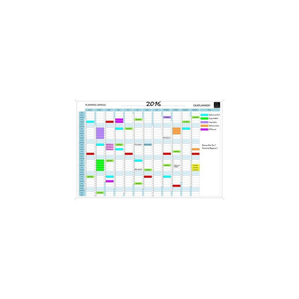 EXACOMPTA Planning annuel Exaplanner, (L)900 x (H)590 mm