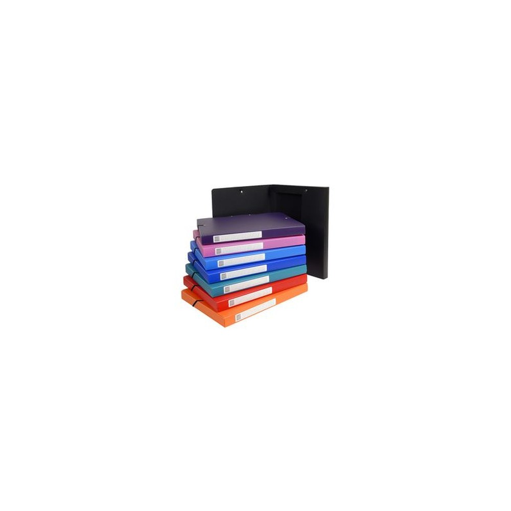 EXACOMPTA Boîte de classement Opaque, PP, 25 mm, assorti x8