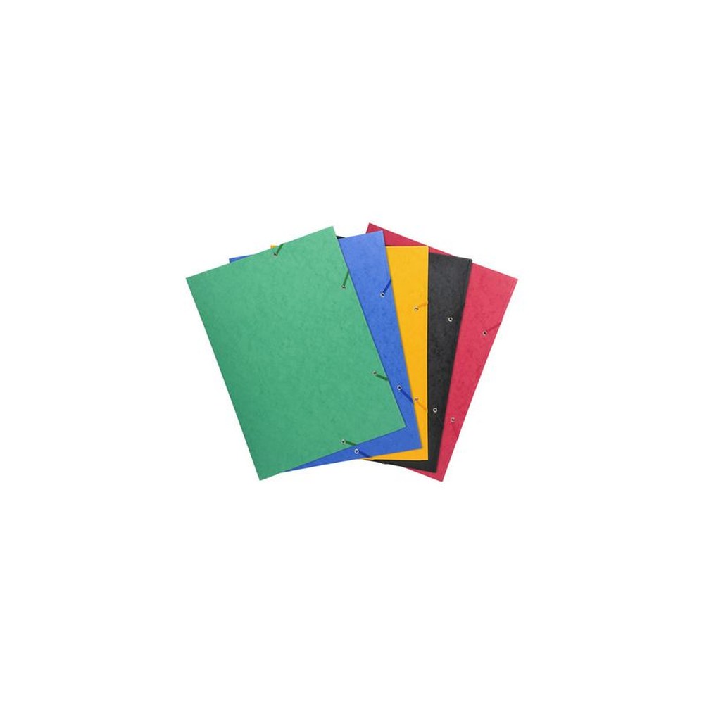EXACOMPTA Chemise à élastique, A3, carton, vert