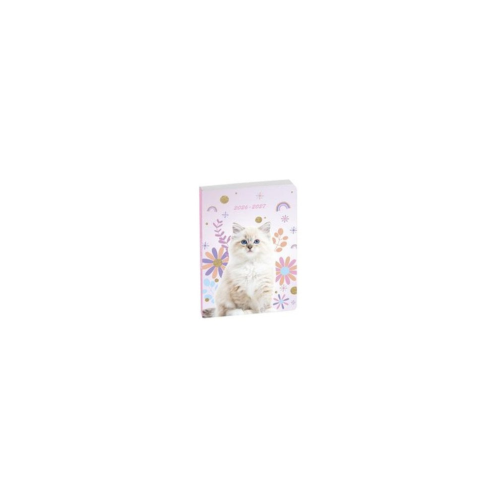 EXACOMPTA Agenda scolaire FORUM Lovely, 2026/2027 x12