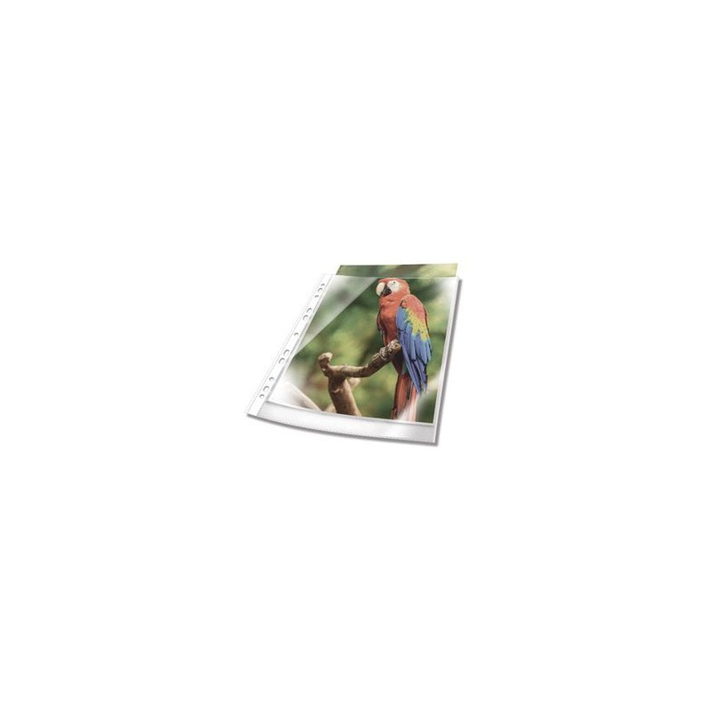 DURABLE Pochette perforée PREMIUM, A4, PP, bord blanc