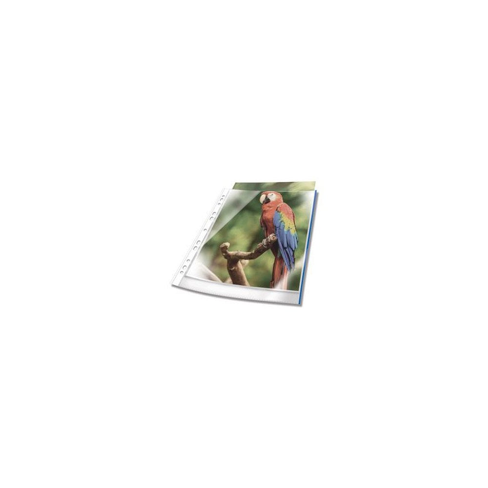 DURABLE Pochette perforée PREMIUM, A4, PP, bord bleu