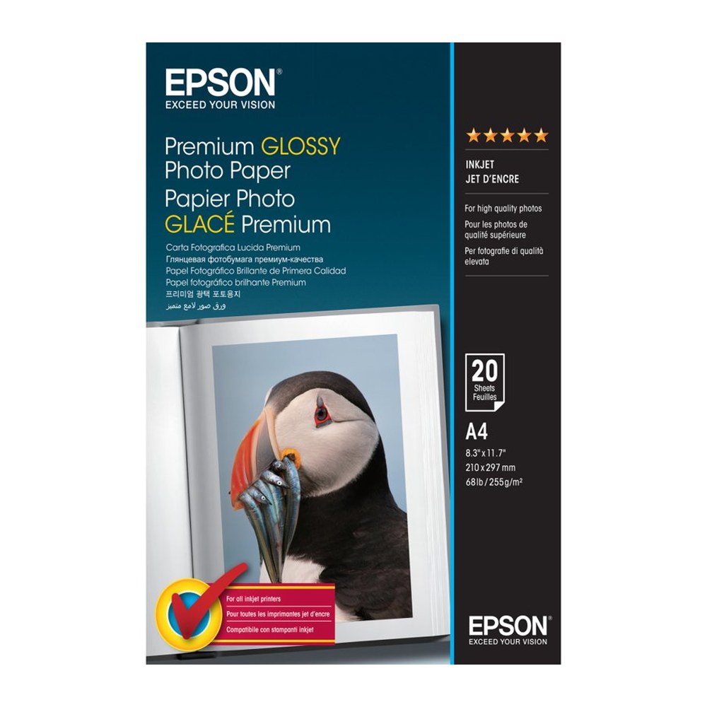 Papier A4 d'origine Epson C13S041287