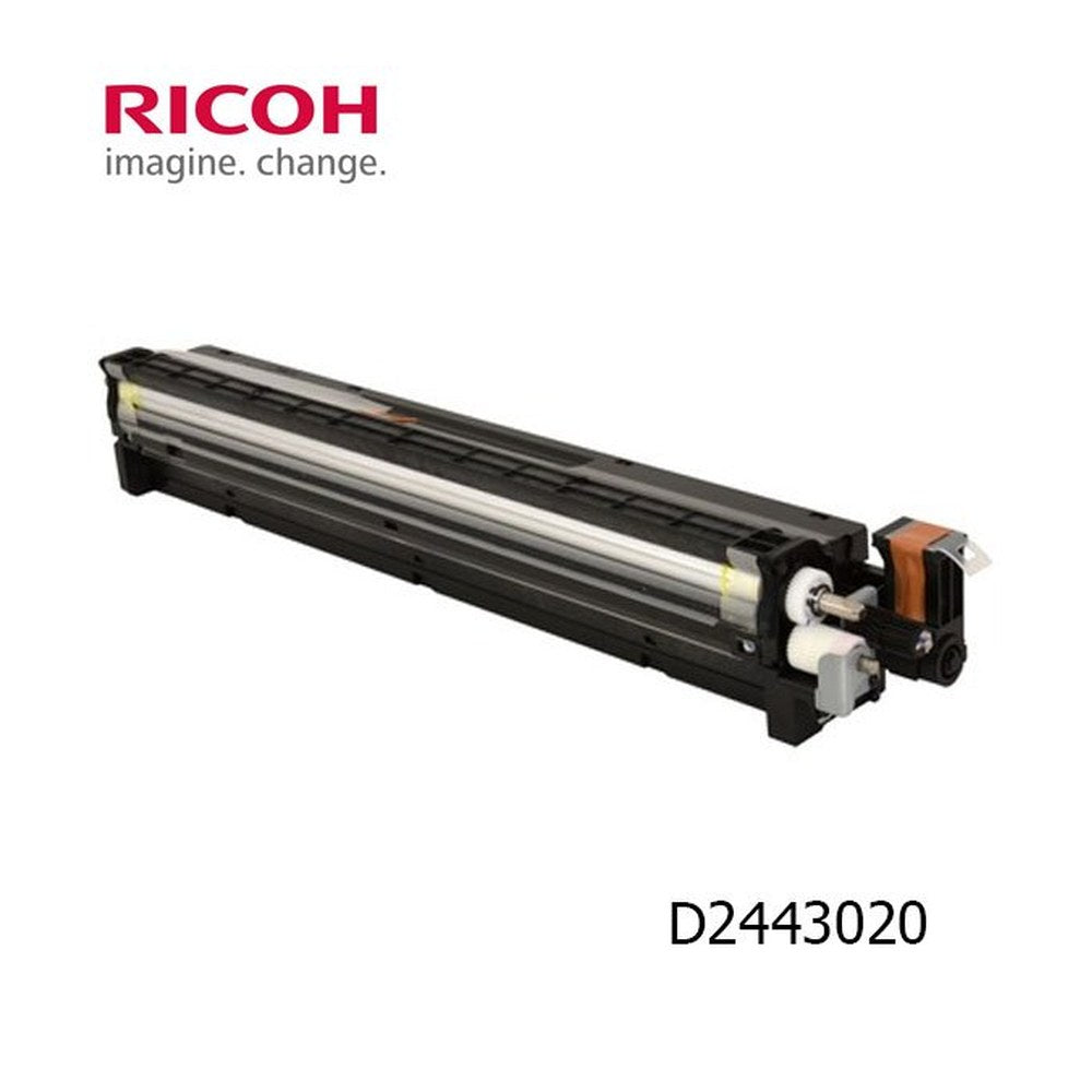 Développeur d'origine Ricoh D2443020 - noir
